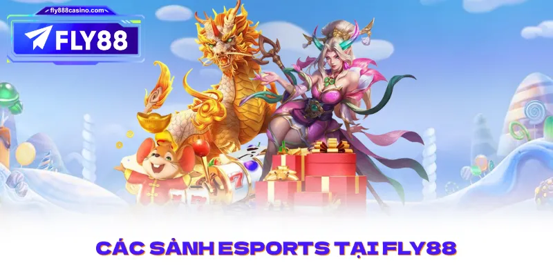Các sảnh Esports tại FLY88