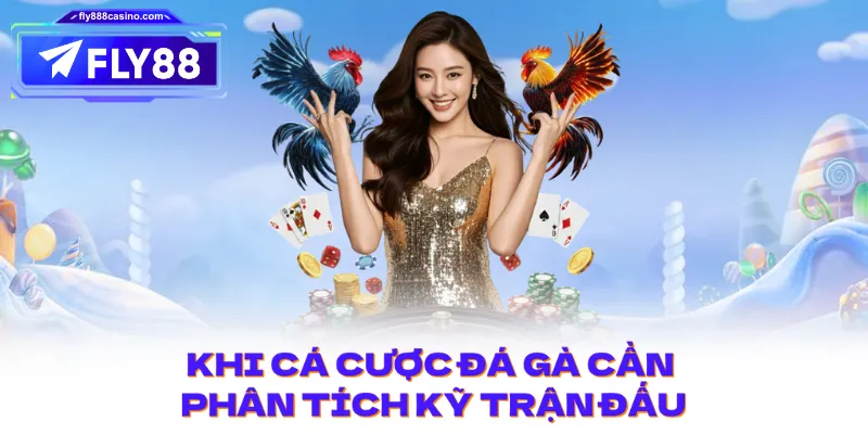 Khi cá cược đá gà cần phân tích kỹ trận đấu